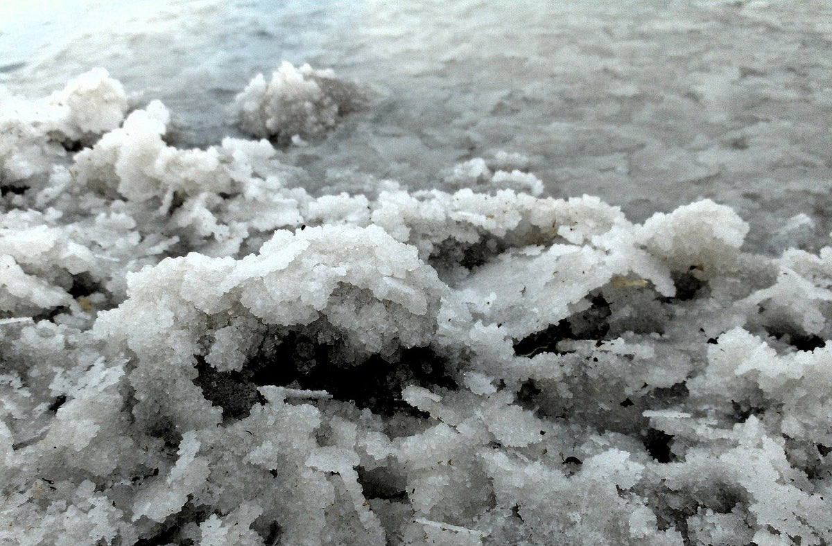 Transdermal Magnesium - Why Athletes Need It – Warrior Shed